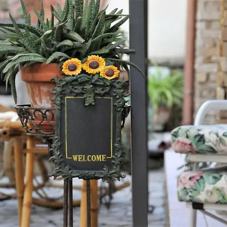 Bed & Breakfast Pedras *